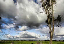 开云下载关于赛地聚焦：葡超今晨热度飙升，国际米兰豪取连胜，话题不断，团队化学反应显著的信息